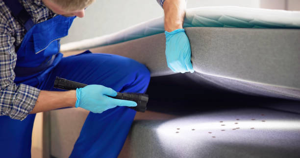 Best Residential Pest Control  in Angels, CA