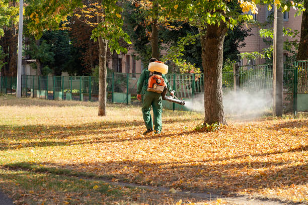 Best Mosquito Control Services  in Angels, CA